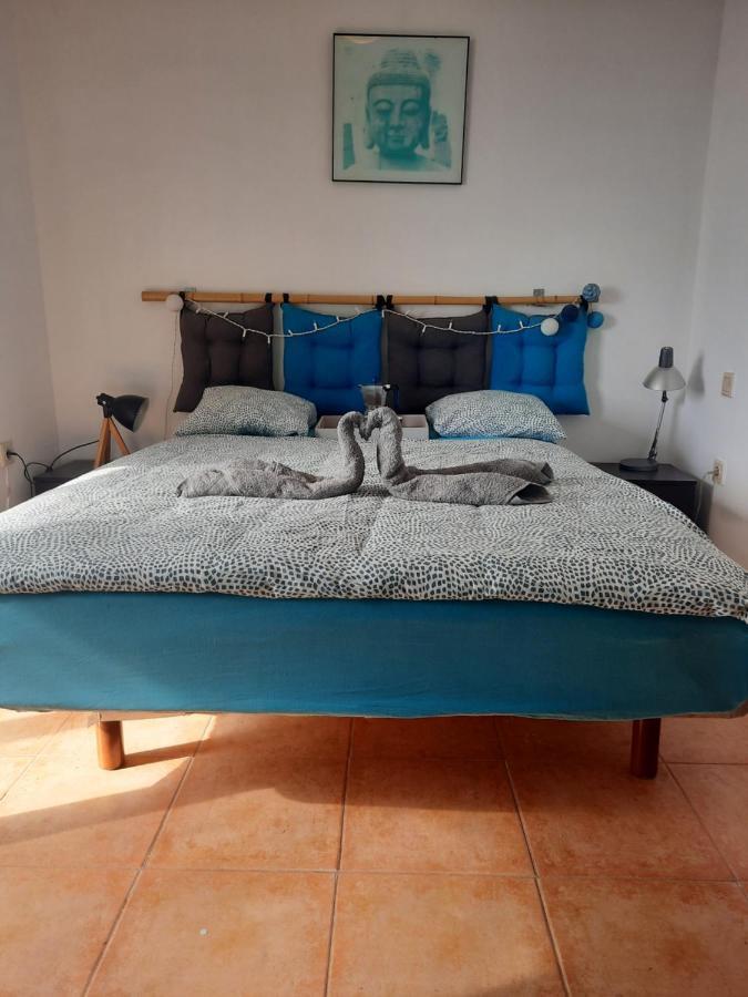 Sun & Surf Loft, Near Main Street And Beach, Wifi Fiber, Winter Garden With Sea View Corralejo Eksteriør billede